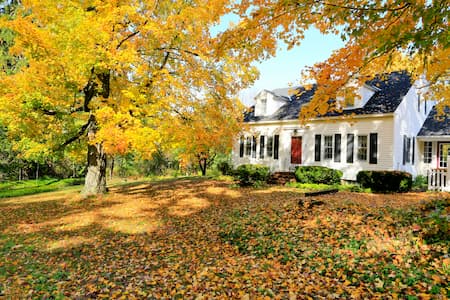 7 Benefits Professional Gutter Cleaning Offers Your Home